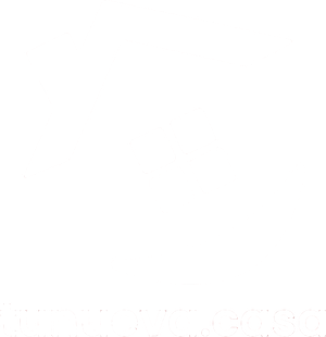 inmobiliaria Tunueva.casa logo 